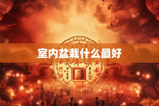 室内盆栽什么最好