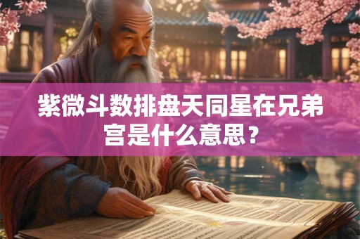 紫微斗数排盘天同星在兄弟宫是什么意思？