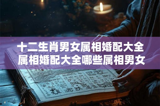 十二生肖男女属相婚配大全 属相婚配大全哪些属相男女不合适