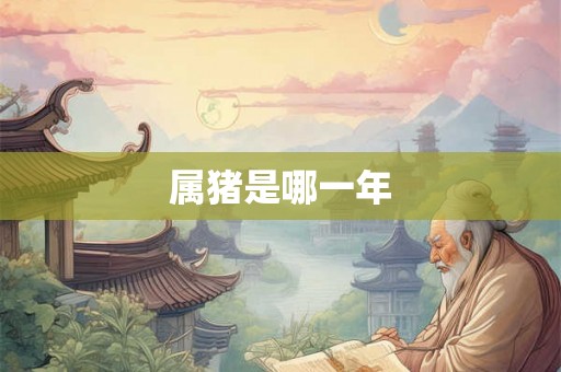 属猪是哪一年