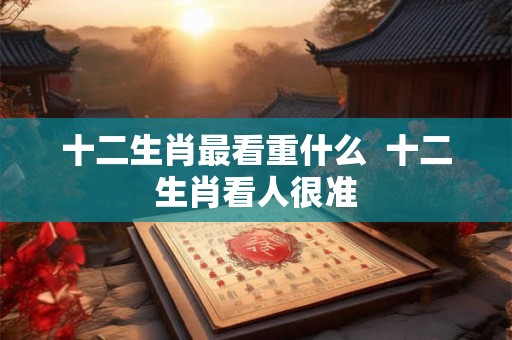 十二生肖最看重什么 十二生肖看人很准 十二生肖最看重什么 十二生肖看人很准