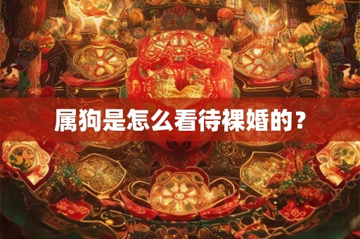 属狗是怎么看待裸婚的？