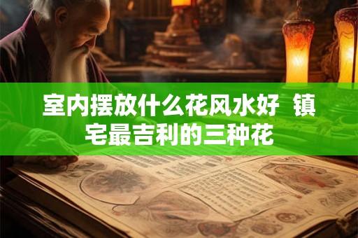 室内摆放什么花风水好 镇宅最吉利的三种花 室内摆放什么花风水好 镇宅最吉利的三种花