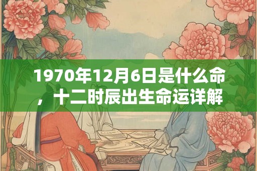 1970年12月6日是什么命，十二时辰出生命运详解