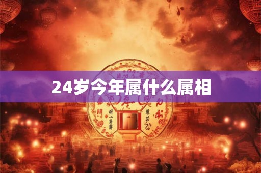24岁今年属什么属相