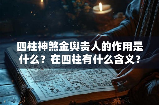 四柱神煞金舆贵人的作用是什么?在四柱有什么含义? 四柱神煞金舆贵人的作用是什么?在四柱有什么含义?