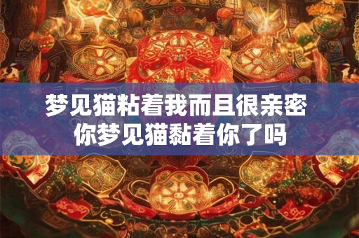 梦见猫粘着我而且很亲密 你梦见猫黏着你了吗