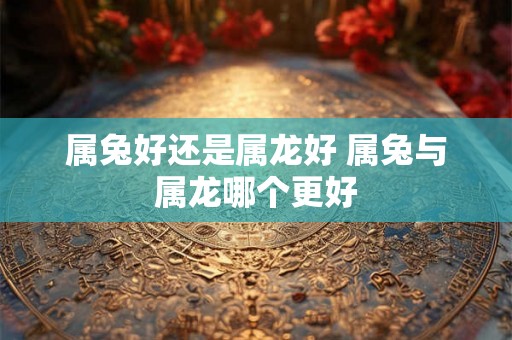 属兔好还是属龙好 属兔与属龙哪个更好
