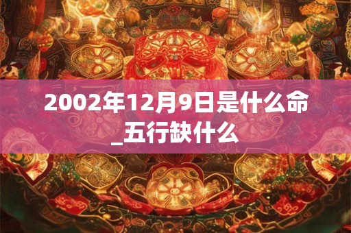 2002年12月9日是什么命_五行缺什么