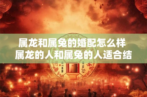 属龙和属兔的婚配怎么样 属龙的人和属兔的人适合结婚吗 属龙和属兔的婚配怎么样 属龙的人和属兔的人适合结婚吗