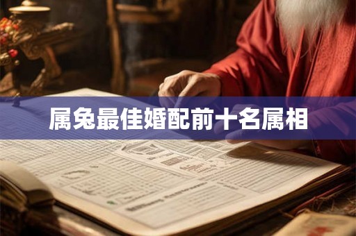属兔最佳婚配前十名属相