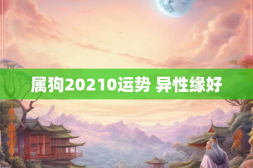 属狗20210运势 异性缘好