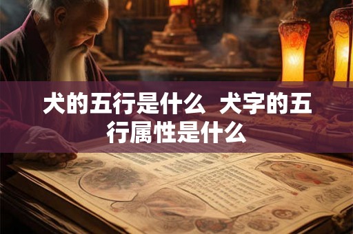 犬的五行是什么  犬字的五行属性是什么