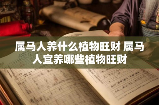 属马人养什么植物旺财 属马人宜养哪些植物旺财