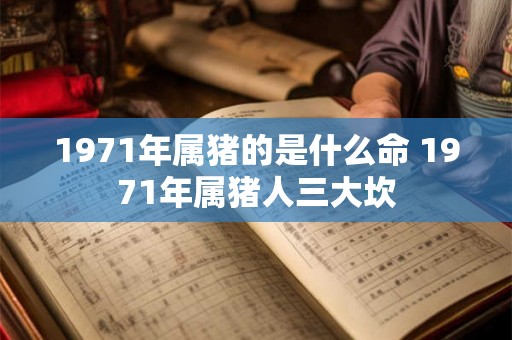 1971年属猪的是什么命 1971年属猪人三大坎 1971年属猪的是什么命 1971年属猪人三大坎