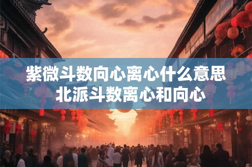 紫微斗数向心离心什么意思  北派斗数离心和向心