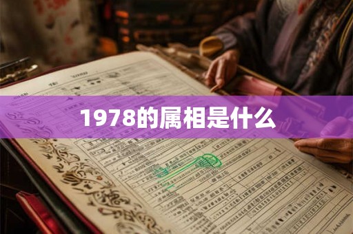 1978的属相是什么