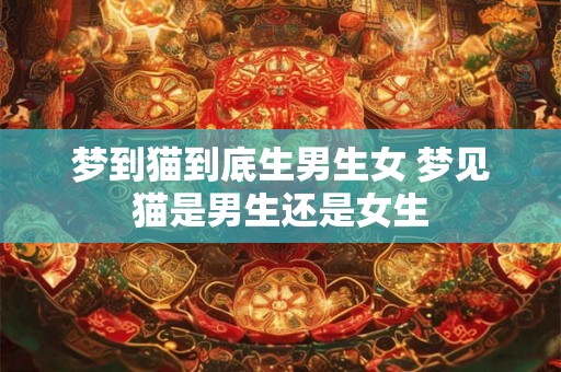 梦到猫到底生男生女 梦见猫是男生还是女生