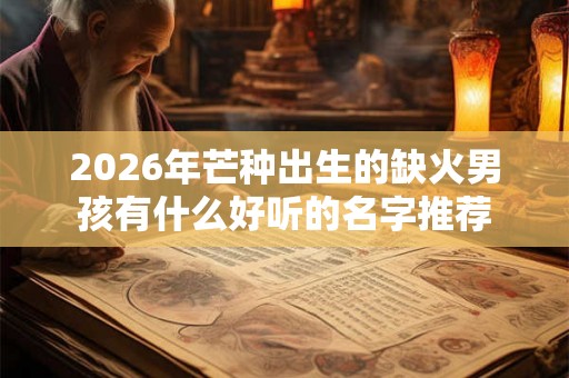 2026年芒种出生的缺火男孩有什么好听的名字推荐
