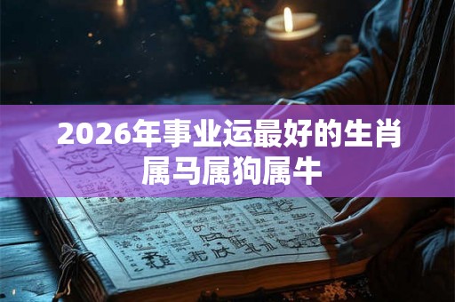2026年事业运最好的生肖 属马属狗属牛