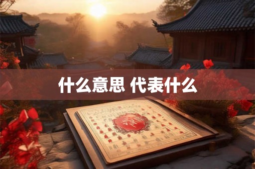 什么意思 代表什么