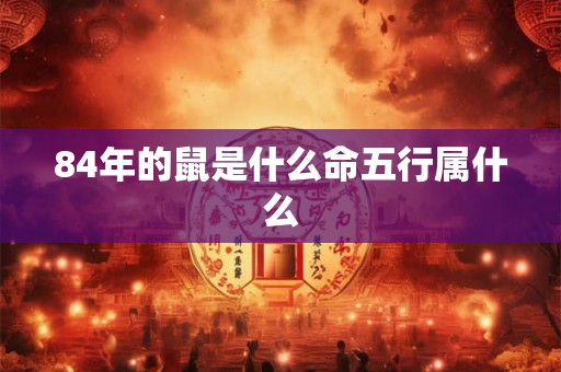 84年的鼠是什么命五行属什么