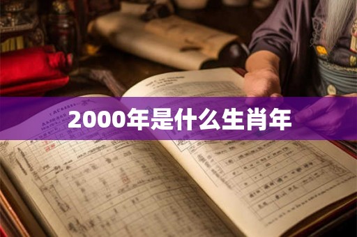 2000年是什么生肖年