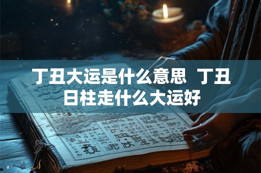 丁丑大运是什么意思  丁丑日柱走什么大运好