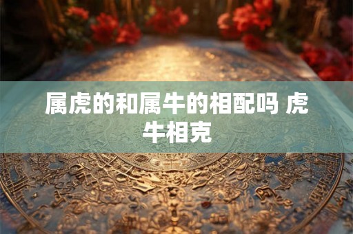 属虎的和属牛的相配吗 虎牛相克