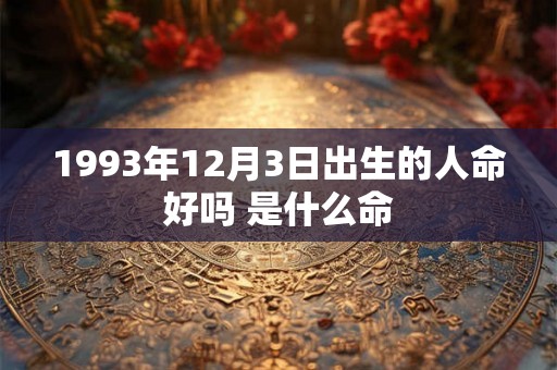 1993年12月3日出生的人命好吗 是什么命