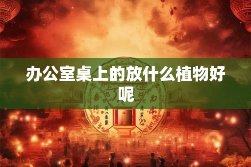 办公室桌上的放什么植物好呢