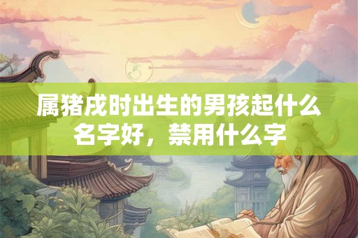属猪戌时出生的男孩起什么名字好，禁用什么字