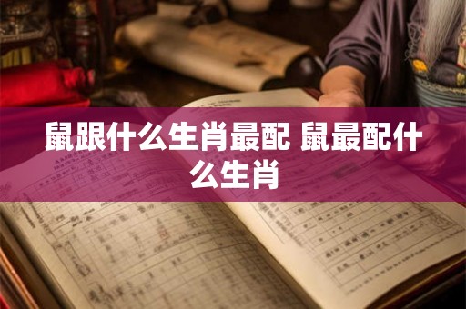 鼠跟什么生肖最配 鼠最配什么生肖