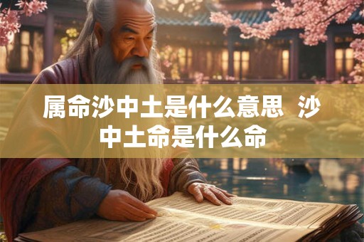 属命沙中土是什么意思  沙中土命是什么命