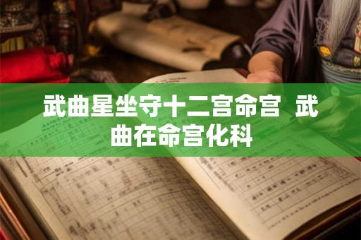 武曲星坐守十二宫命宫  武曲在命宫化科