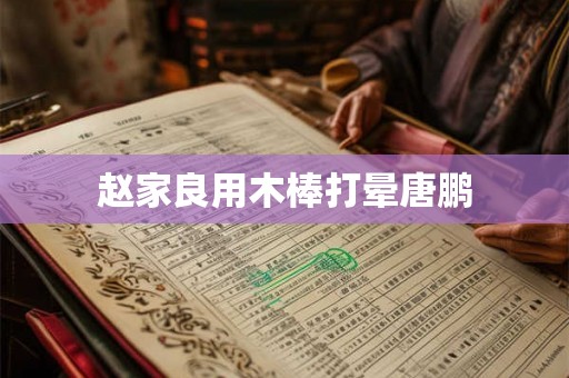 赵家良用木棒打晕唐鹏