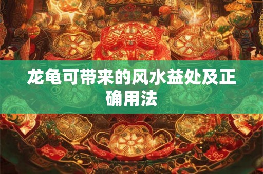 龙龟可带来的风水益处及正确用法