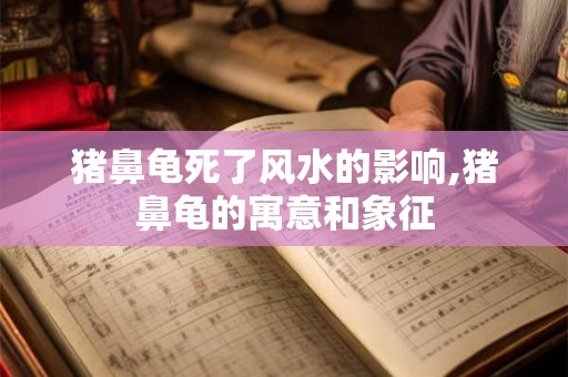 猪鼻龟死了风水的影响,猪鼻龟的寓意和象征