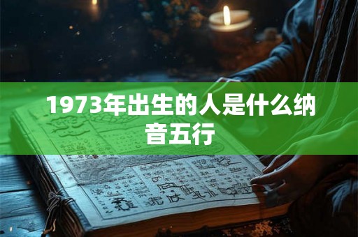 1973年出生的人是什么纳音五行