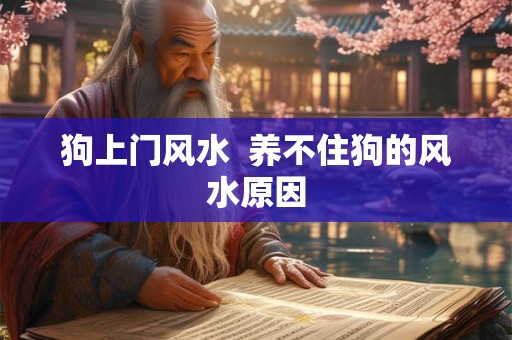 狗上门风水 养不住狗的风水原因 狗上门风水 养不住狗的风水原因
