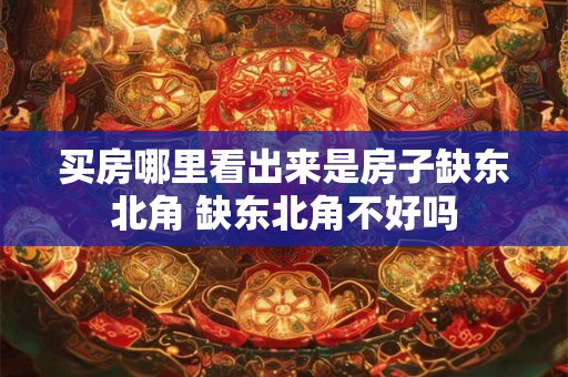 买房哪里看出来是房子缺东北角 缺东北角不好吗