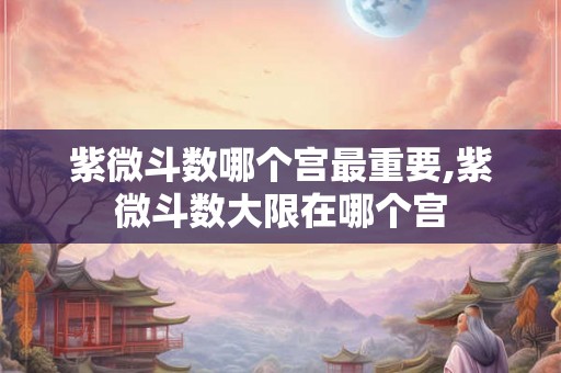 紫微斗数哪个宫最重要,紫微斗数大限在哪个宫 紫微斗数哪个宫最重要,紫微斗数大限在哪个宫