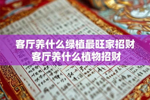 客厅养什么绿植最旺家招财 客厅养什么植物招财