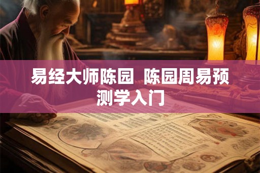 易经大师陈园  陈园周易预测学入门