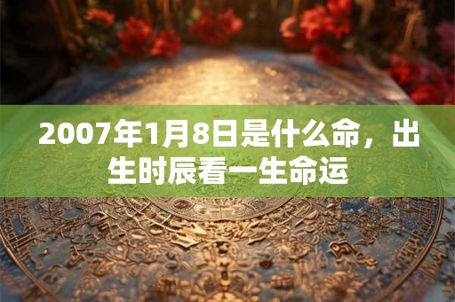 2007年1月8日是什么命，出生时辰看一生命运
