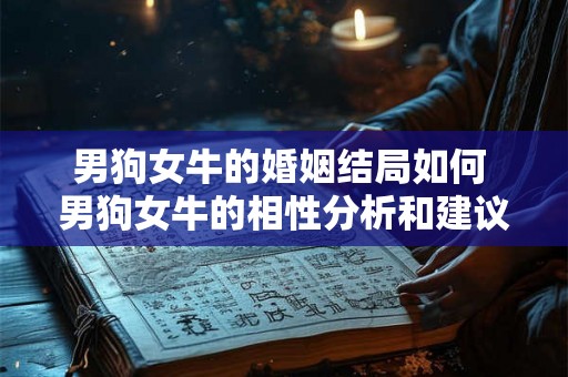 男狗女牛的婚姻结局如何 男狗女牛的相性分析和建议