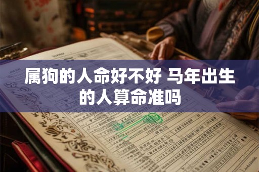 属狗的人命好不好 马年出生的人算命准吗