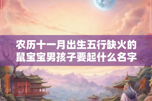 农历十一月出生五行缺火的鼠宝宝男孩子要起什么名字？