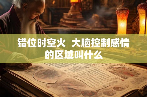 错位时空火  大脑控制感情的区域叫什么