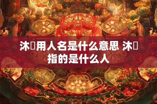 沐莀用人名是什么意思 沐莀指的是什么人